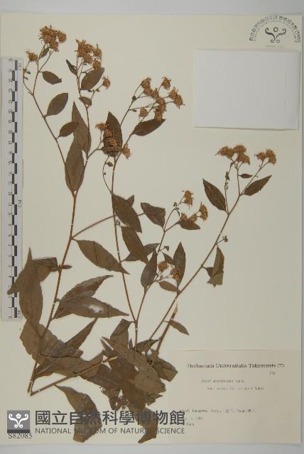 登錄號:S082085藏品圖，第1張