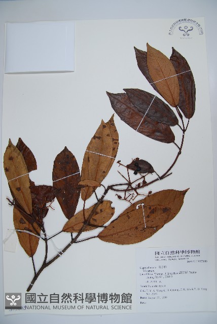 登錄號:S073885藏品圖，第1張