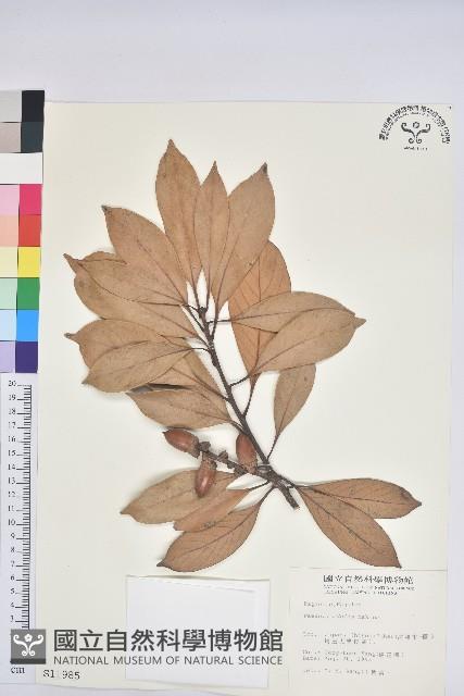 登錄號:S011985藏品圖，第1張