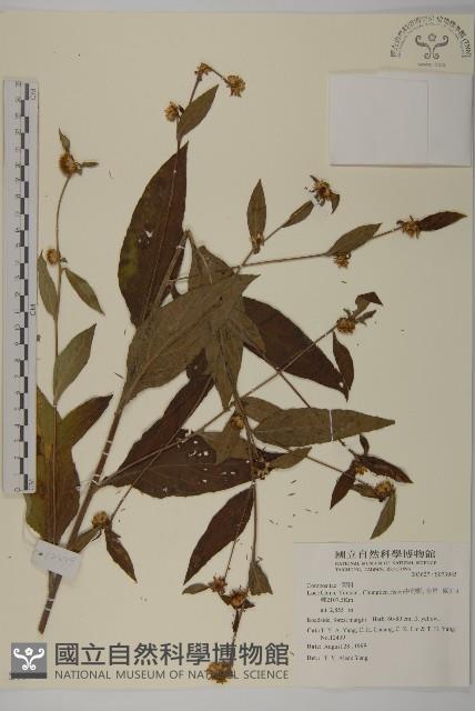 登錄號:S073985藏品圖，第1張