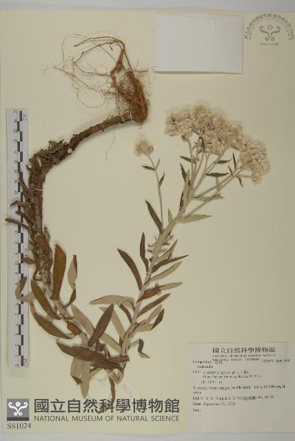 登錄號:S081024藏品圖，第1張