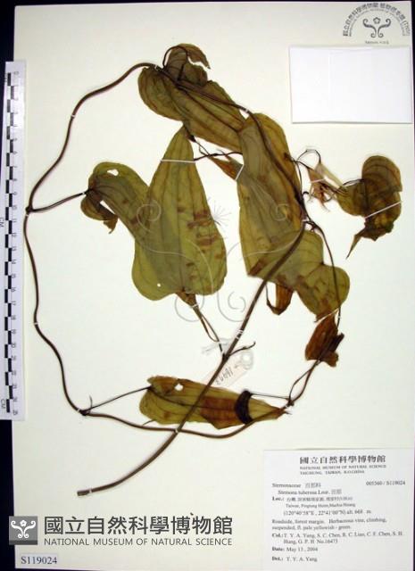 百部藏品圖，第1張