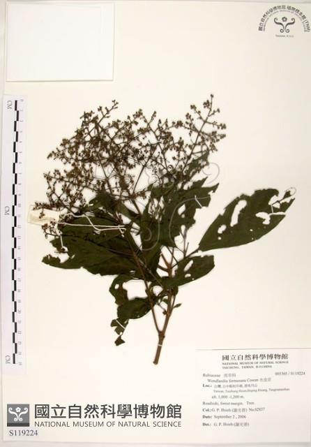 水金京藏品圖，第1張