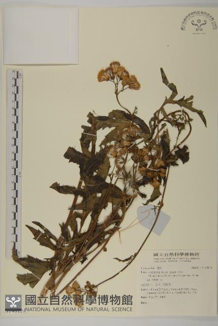 登錄號:S140124藏品圖，第1張