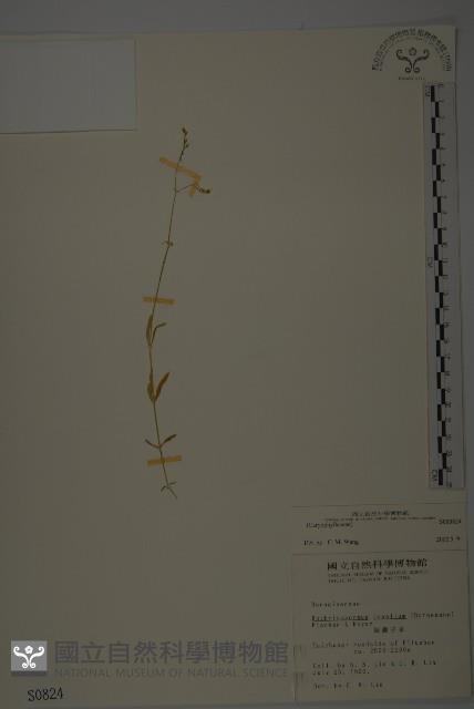 登錄號:S000824藏品圖，第1張