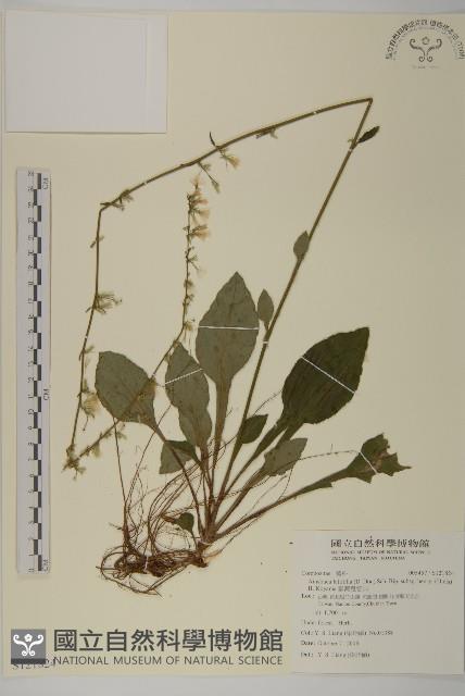 臺灣鬼督郵藏品圖，第1張