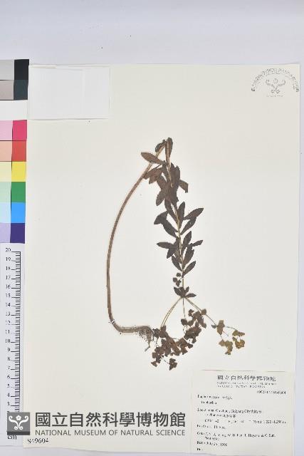 登錄號:S049604藏品圖，第1張