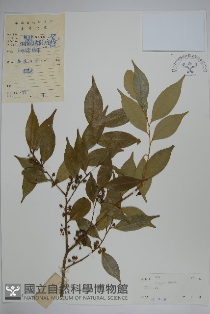 登錄號:S038504藏品圖，第1張