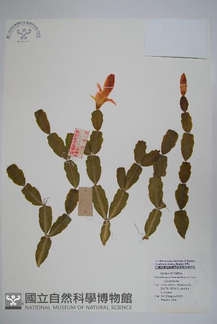 登錄號:S048504藏品圖，第1張