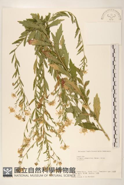 登錄號:S058614藏品圖，第1張