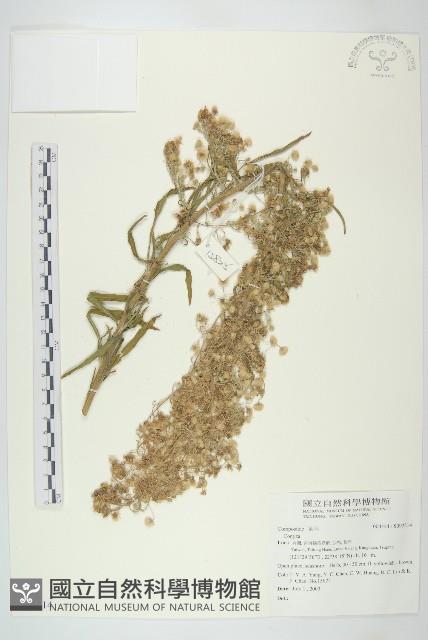 登錄號:S092214藏品圖，第1張