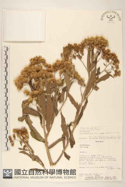 登錄號:S080654藏品圖，第1張