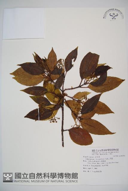 高山莢迷藏品圖，第1張