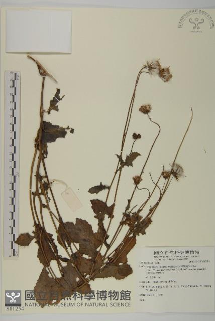 登錄號:S081254藏品圖，第1張