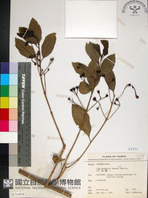 苦林盤藏品圖，第1張