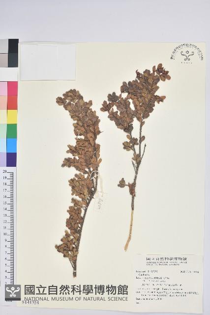 登錄號:S141554藏品圖，第1張