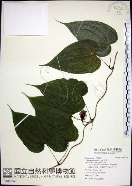 百部藏品圖，第1張