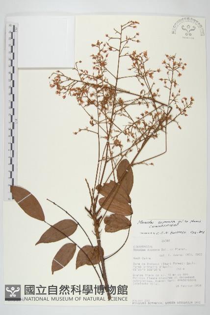 登錄號:S093694藏品圖，第1張