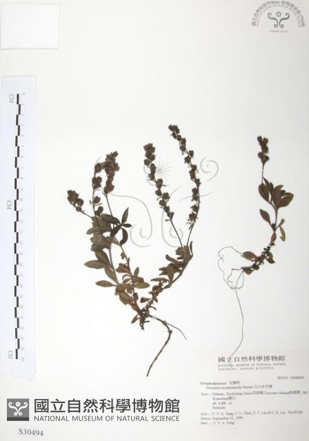 玉山水苦賈藏品圖，第1張