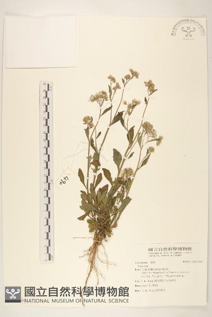 登錄號:S101194藏品圖，第1張