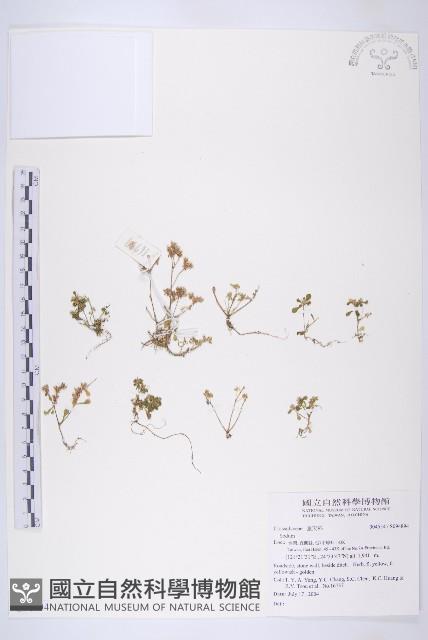 登錄號:S094894藏品圖，第1張