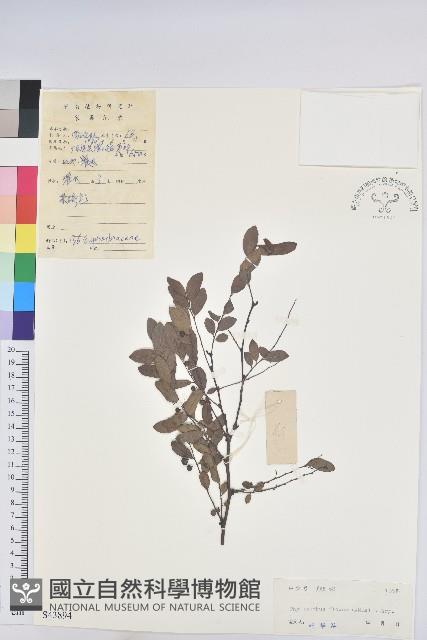 登錄號:S043894藏品圖，第1張