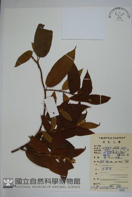 登錄號:S083894藏品圖，第1張