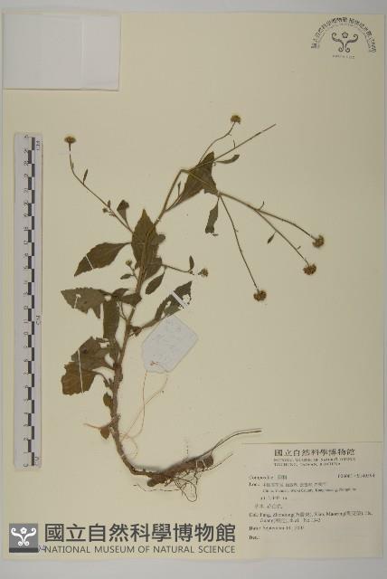 登錄號:S140594藏品圖，第1張