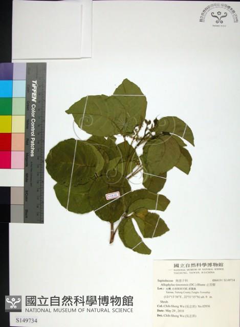 止宮樹藏品圖，第1張