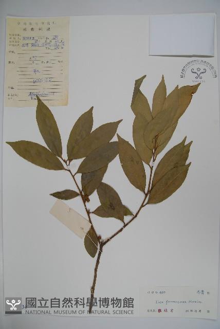 糊樗藏品圖，第1張