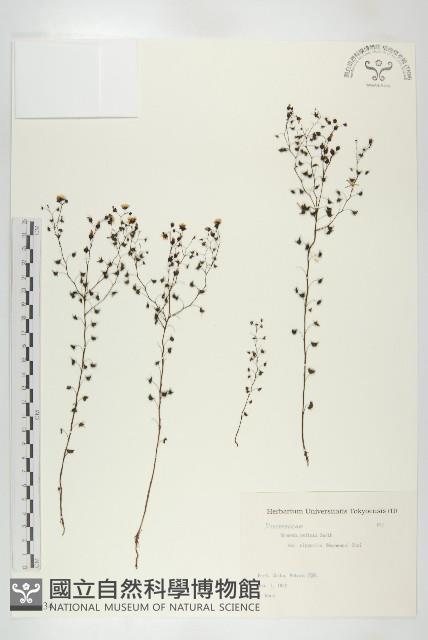 登錄號:S081934藏品圖，第1張