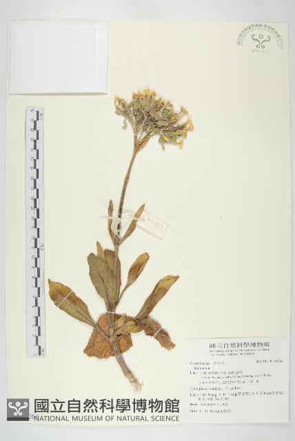 登錄號:S130064藏品圖，第1張