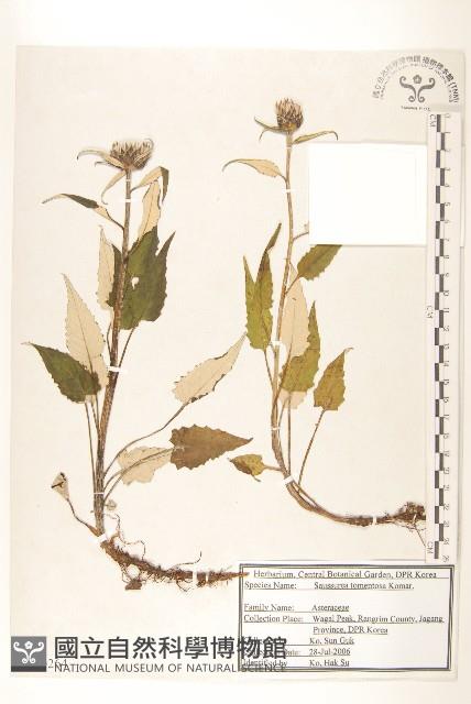 登錄號:S120264藏品圖，第1張