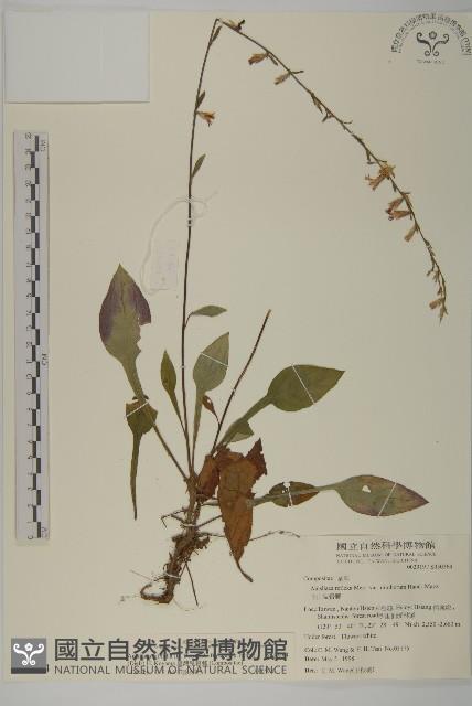 Accession Number:S050264 Collection Image, Figure 1, Total 3 Figures