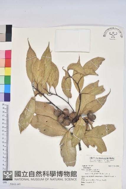 登錄號:S163164藏品圖，第1張