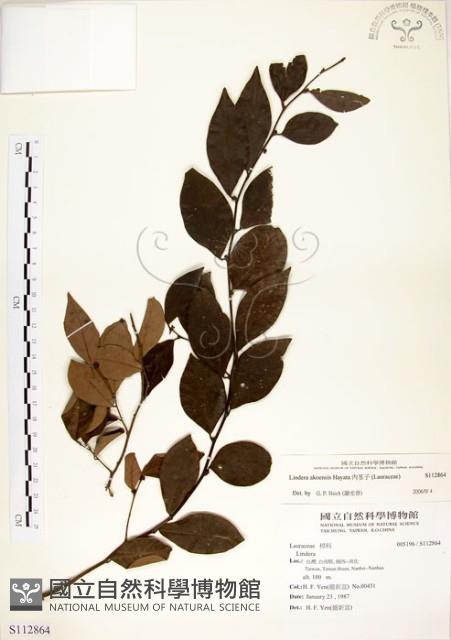 內苳子藏品圖，第1張