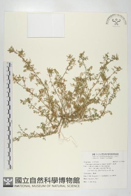 Accession Number:S123864 Collection Image, Figure 1, Total 2 Figures