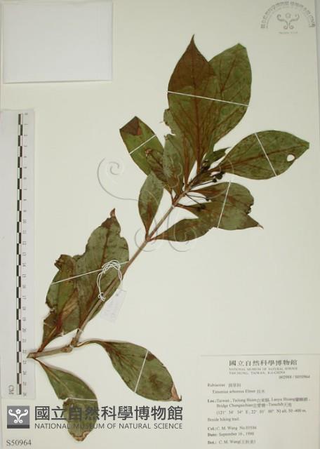 貝木藏品圖，第1張