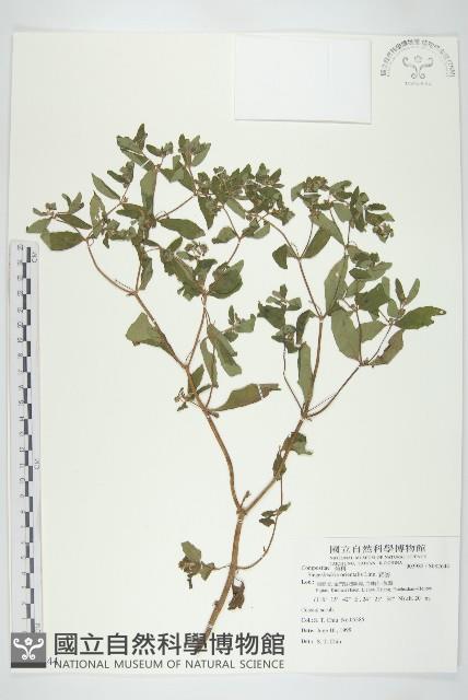 豨簽藏品圖，第1張