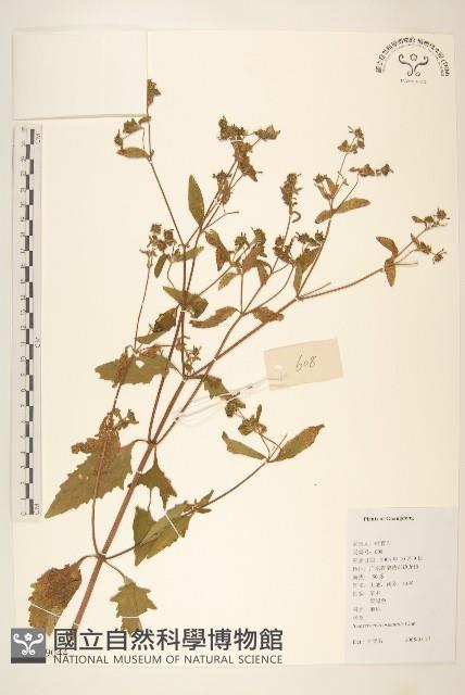 豨簽藏品圖，第1張