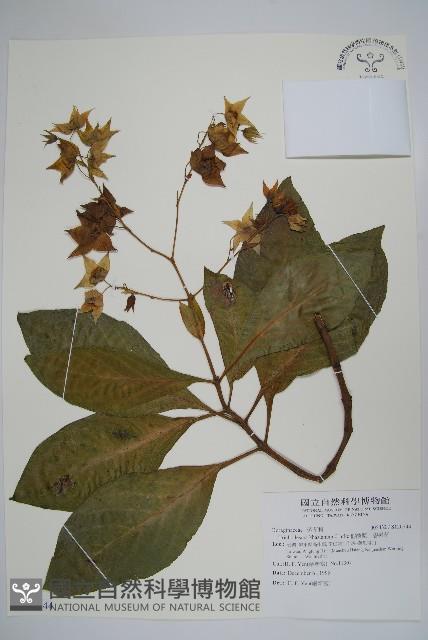 Accession Number:S120744 Collection Image, Figure 1, Total 2 Figures