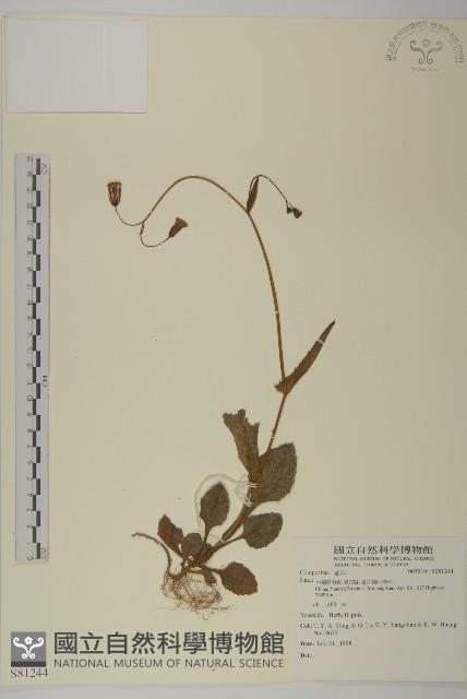 登錄號:S081244藏品圖，第1張