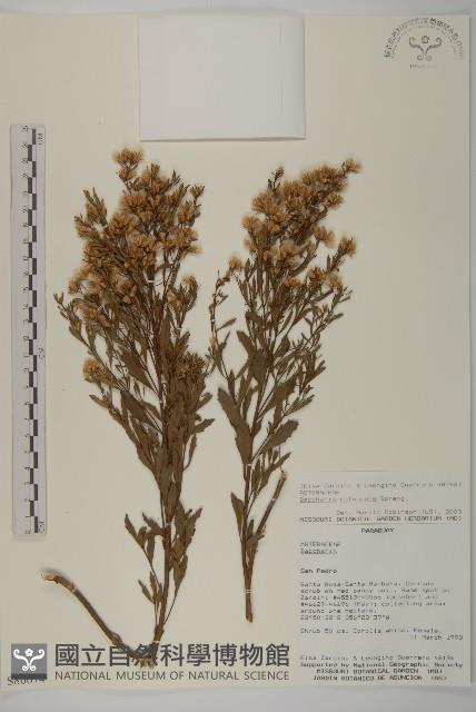 登錄號:S080674藏品圖，第1張