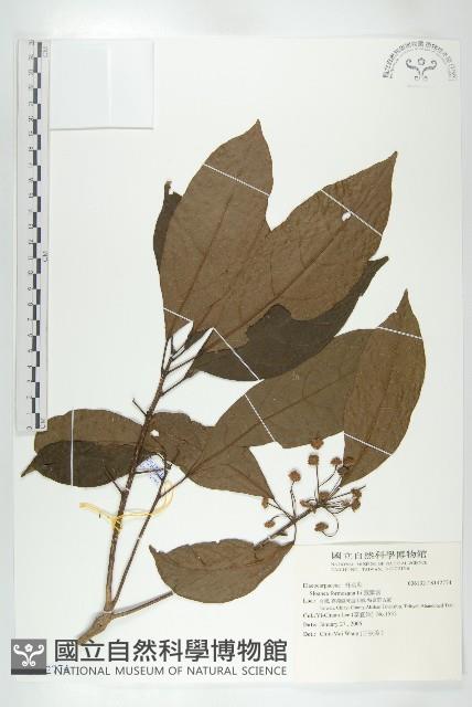 猴歡喜藏品圖，第1張