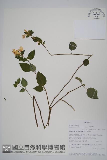 登錄號:S093774藏品圖，第1張