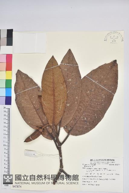 登錄號:S082874藏品圖，第1張