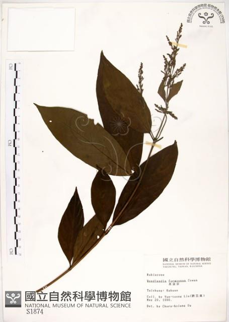 水金京藏品圖，第1張