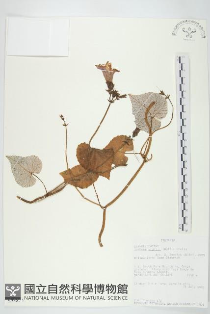 登錄號:S093874藏品圖，第1張