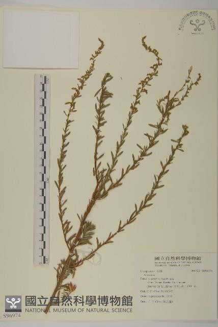 登錄號:S096974藏品圖，第1張