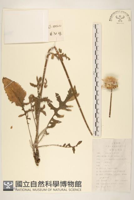 漏蘆藏品圖，第1張